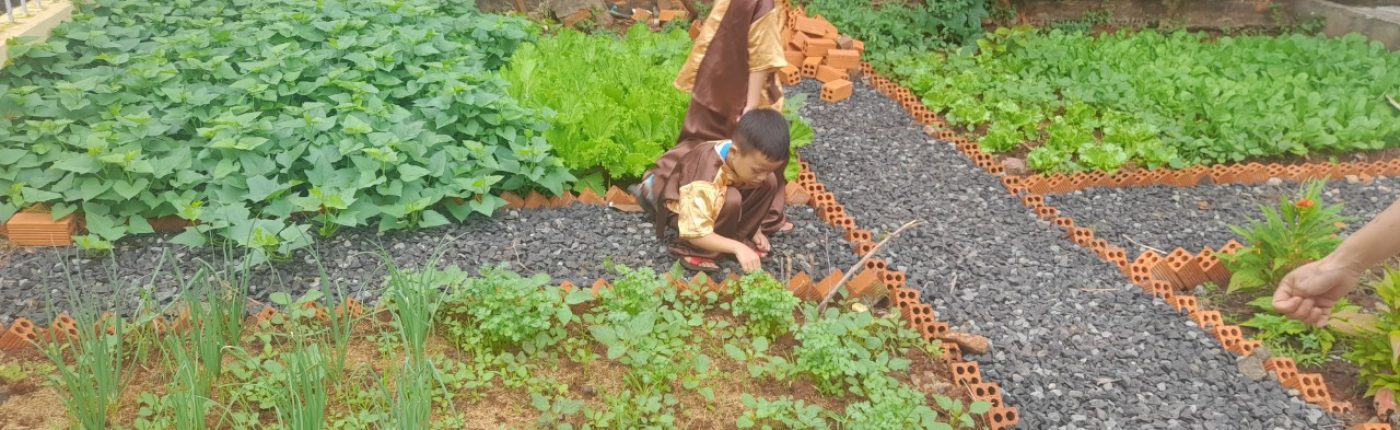 Trẻ tham gia hoạt động vui chơi ngoài trời